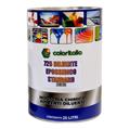 DILUENTE EPOSSIDICO STANDARD LT.25